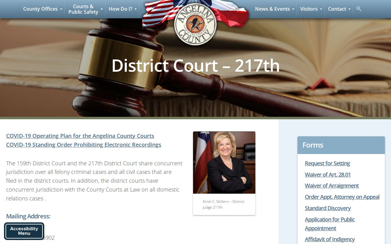 Angelina County criminal court case 217th District Court page